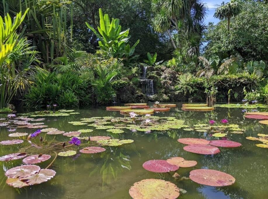 Insta Worthy Oasis Villa Homestead Bagian luar foto